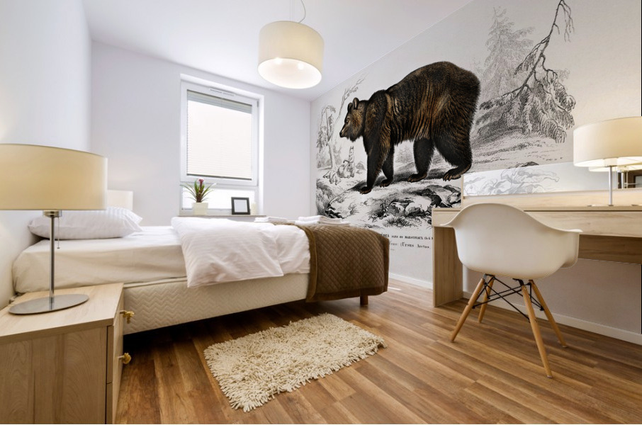 Brown Bear Ursus Arctos Mural print