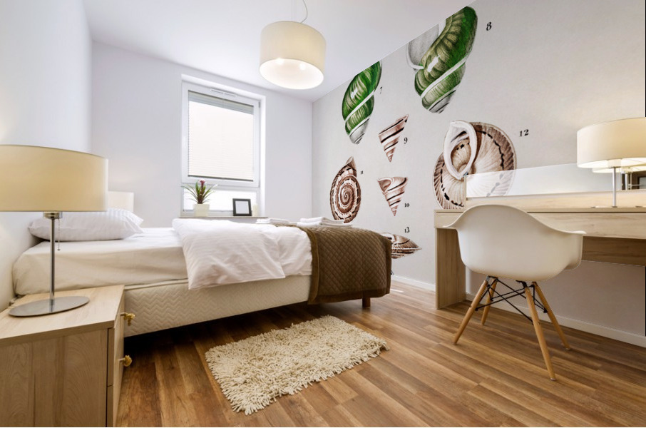 Different types of mollusks Mural print