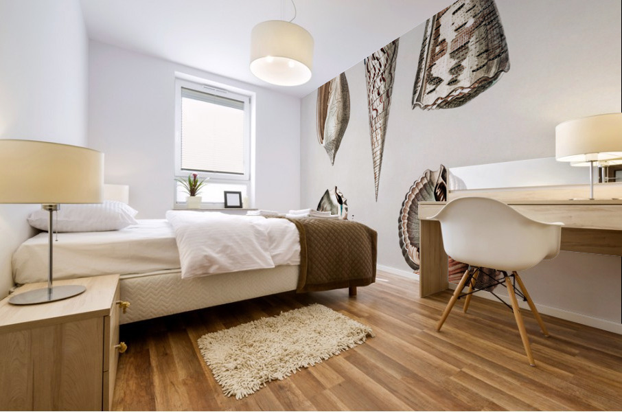 Different types of mollusks Mural print