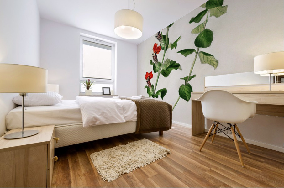 Different types of birds Mural print