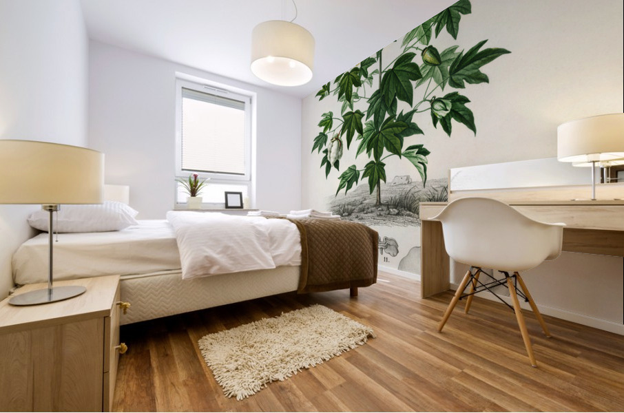 Sea Island cotton gossypium vitifolium Mural print