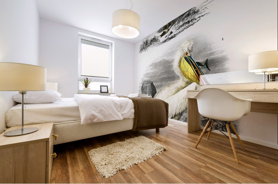 Different types of birds Mural print