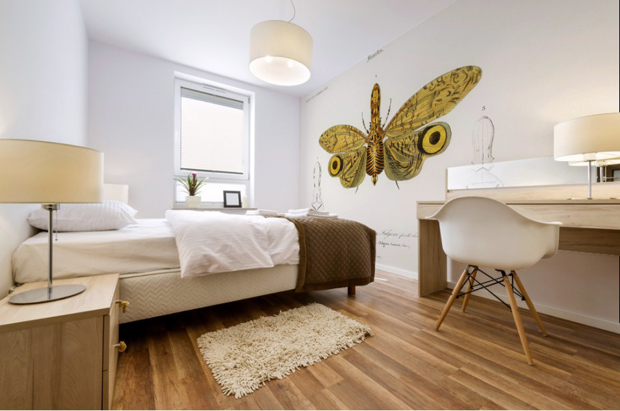 Different types of birds Mural print