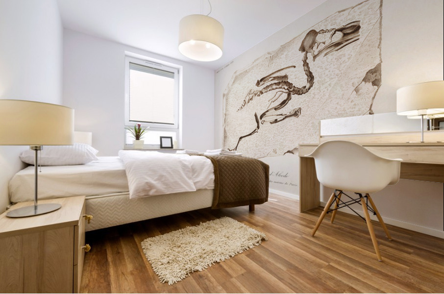 Kingfisher Alcedo Mural print