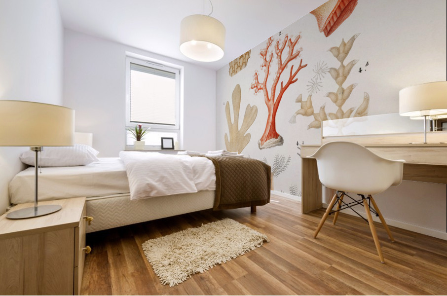 Kingfisher Alcedo Mural print