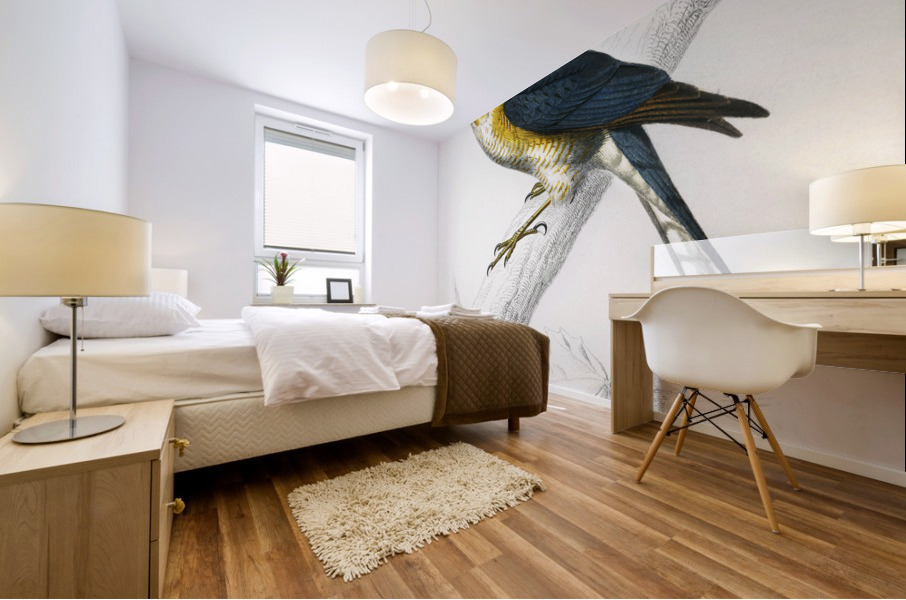 Eurasian sparrowhawk Accipiter nisus Mural print