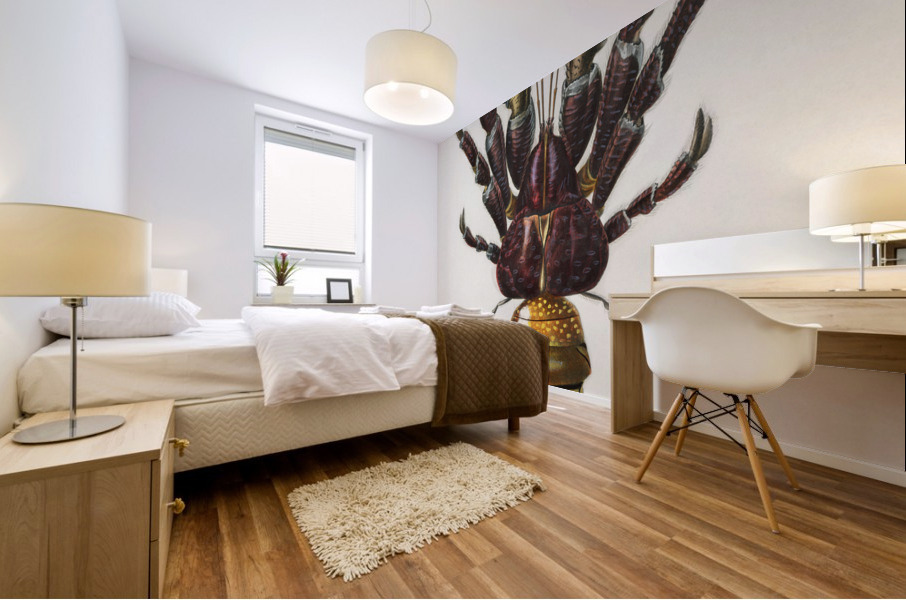 Coconut Crab Birgus latroi Mural print