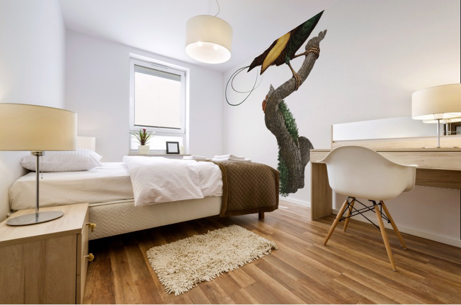 Curl-crested Manucode  Mural print