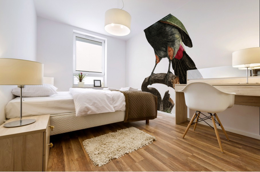 Black-necked Aracari  Mural print