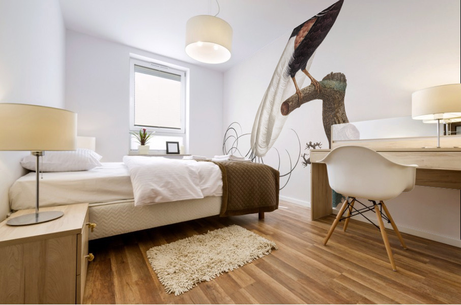 Twelve wired bird of paradise  Mural print