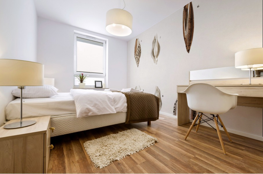 Different types of mollusks Mural print