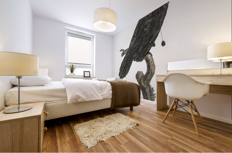 Western parotia in the idle state  Mural print