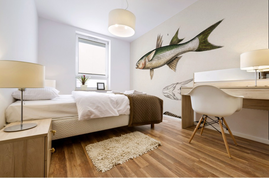 Different types of fishes Mural print