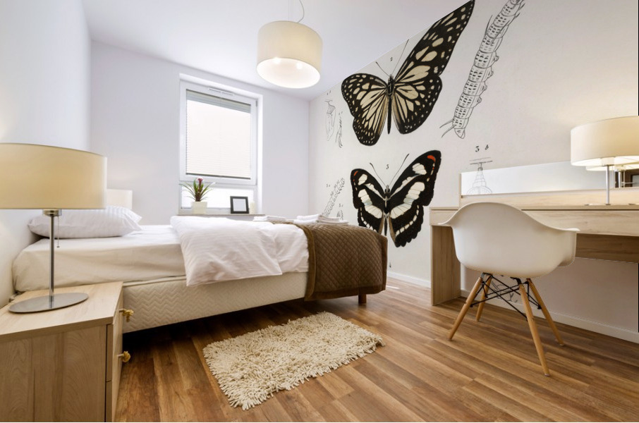 Collection of butterflies Mural print