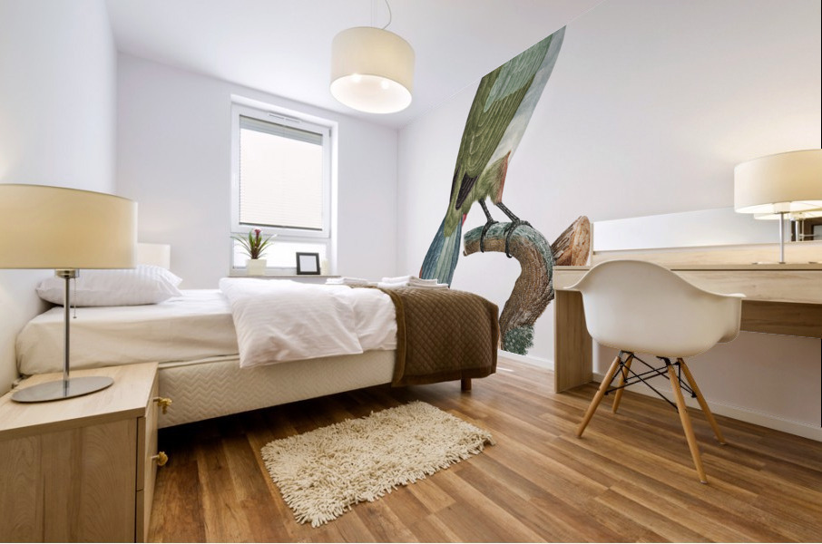 Black-necked Aracari female  Mural print