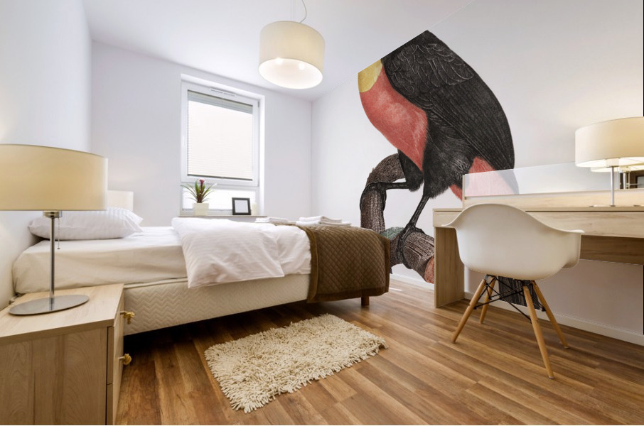 Green-billed toucan  Mural print