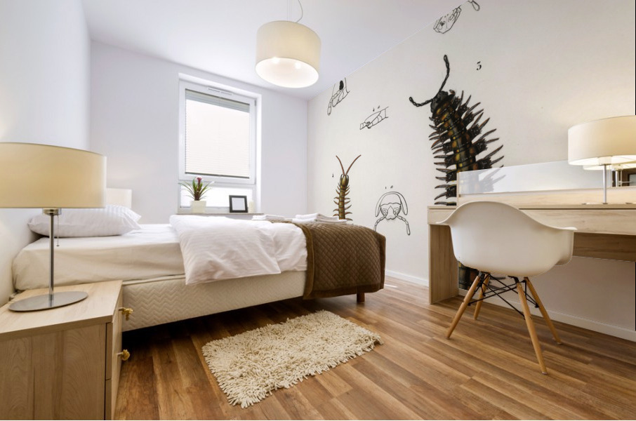 Different types of millipeds Mural print