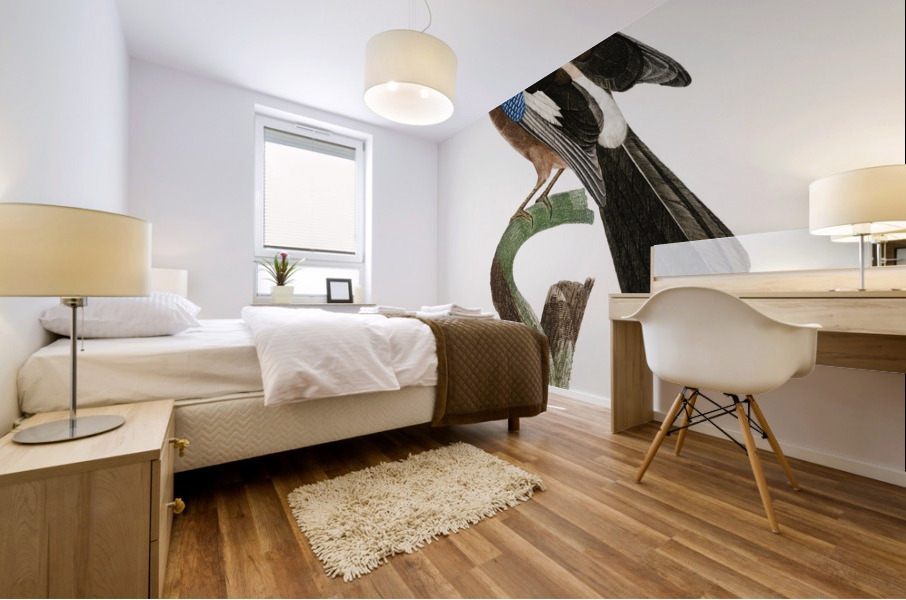 Eurasian Jay  Mural print