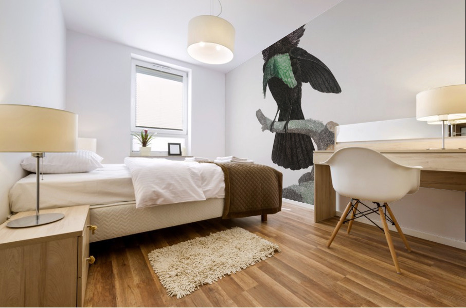 Superb bird of paradise  Mural print