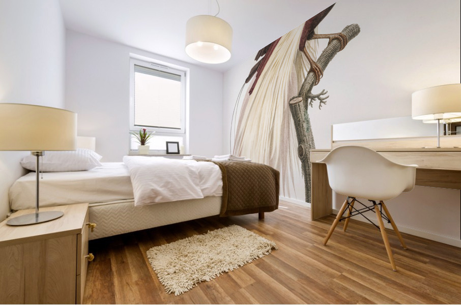 Emperor bird-of-paradise male  Mural print