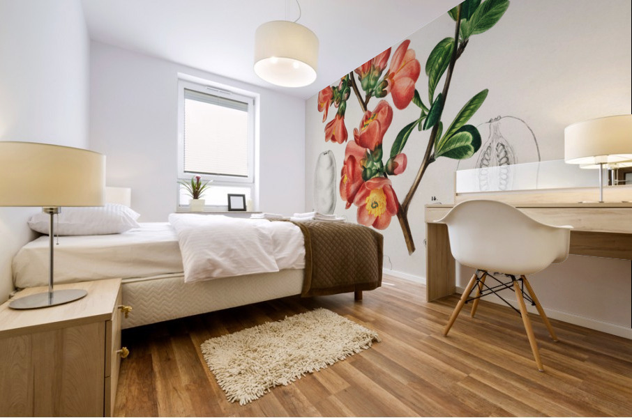 Maule&39s quince Cydonia japonica Mural print