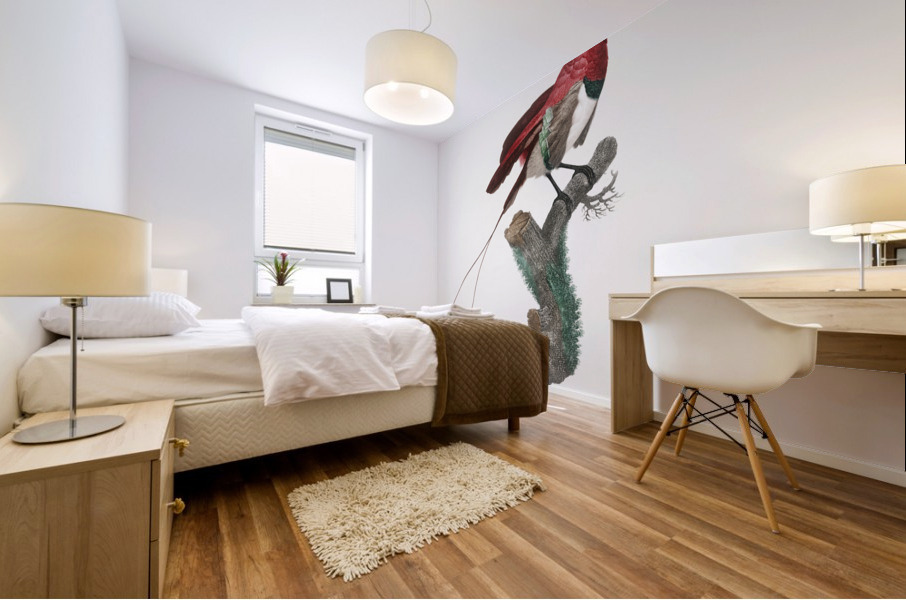 King bird of paradise male  Mural print