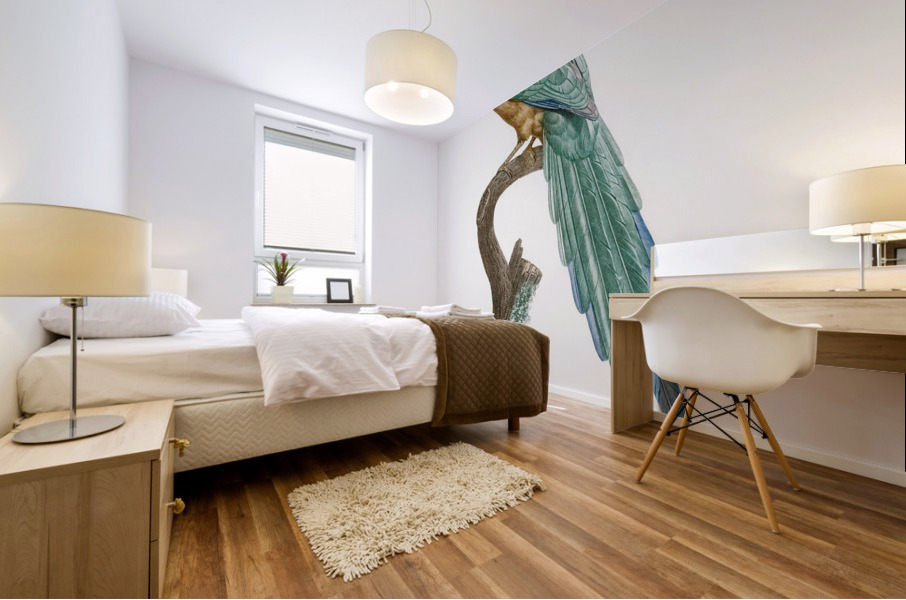 Young motmot  Impression murale