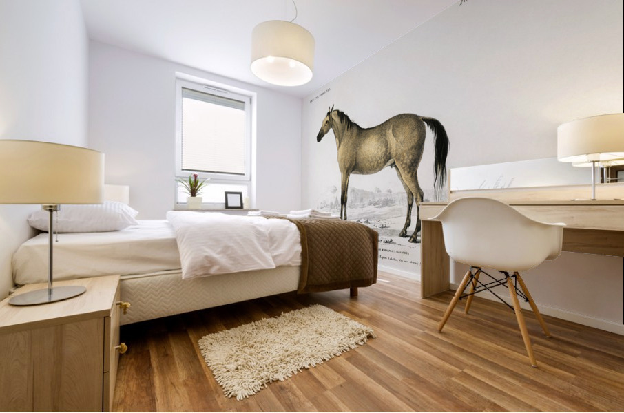 Horse Equus ferus caballus Mural print