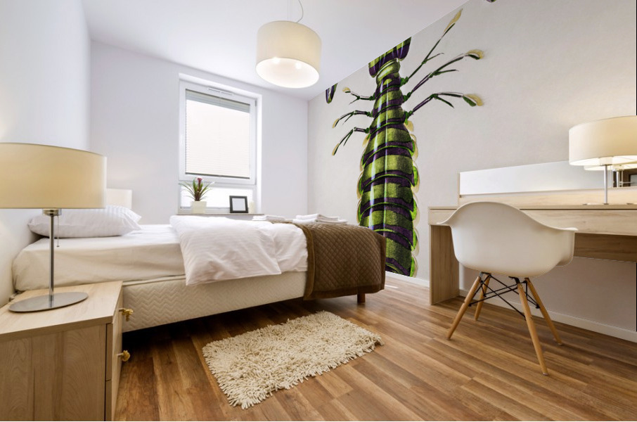 Giant mantis shrimp Squilla Maculata Mural print