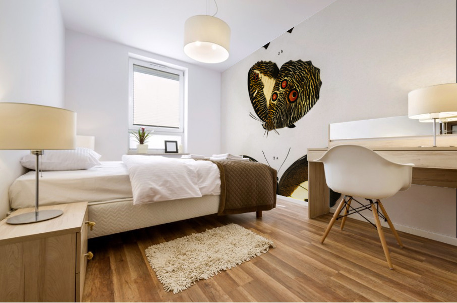 Different types of butterfly Mural print