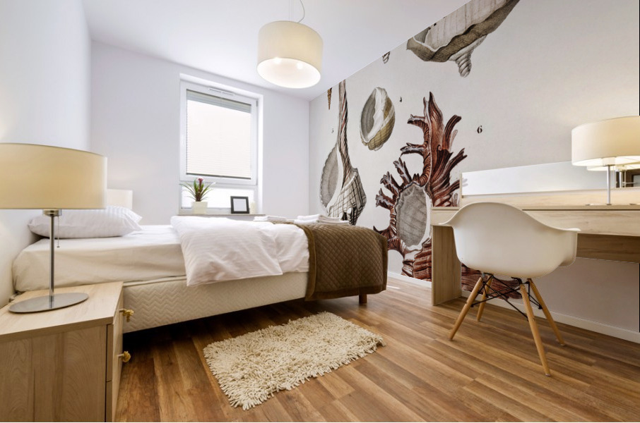 Different types of mollusks Mural print