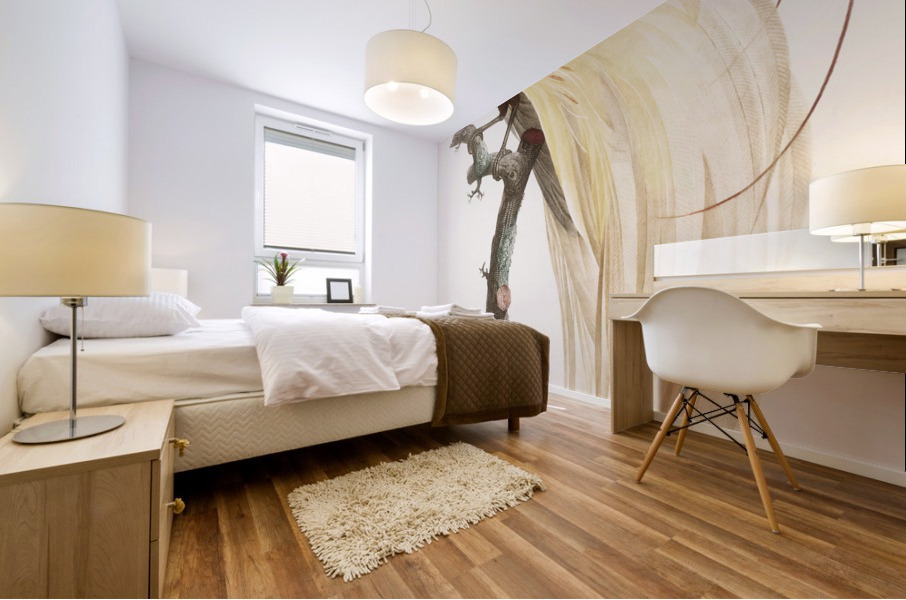 Young emperor bird-of-paradise male  Mural print