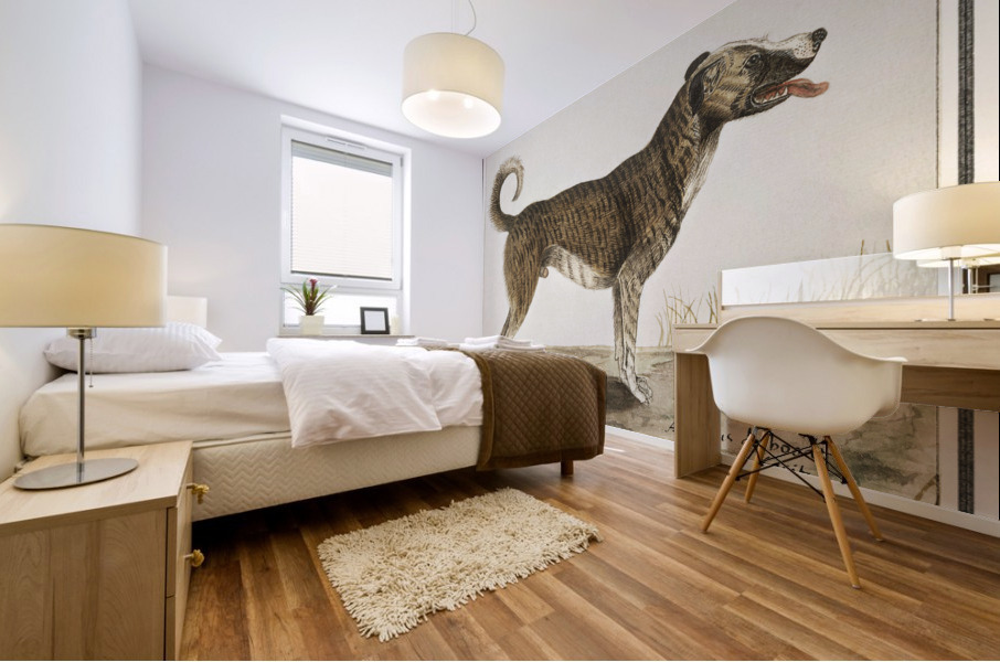 Dog in vintage style Mural print