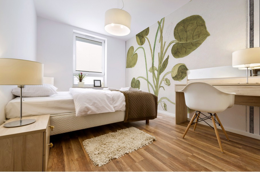 Mansoor flower in vintage style Mural print