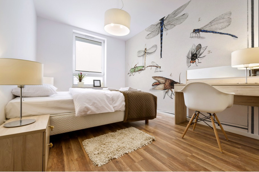 Dragonflies in vintage style Mural print