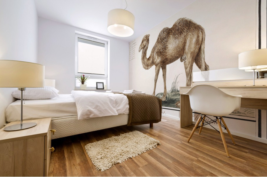 Camel in vintage style Mural print