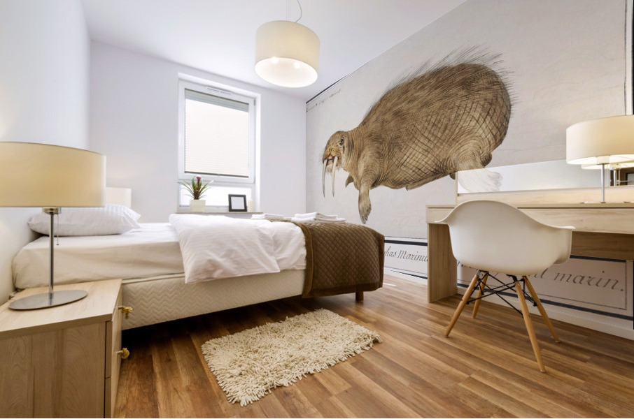 Walrus in vintage style Mural print