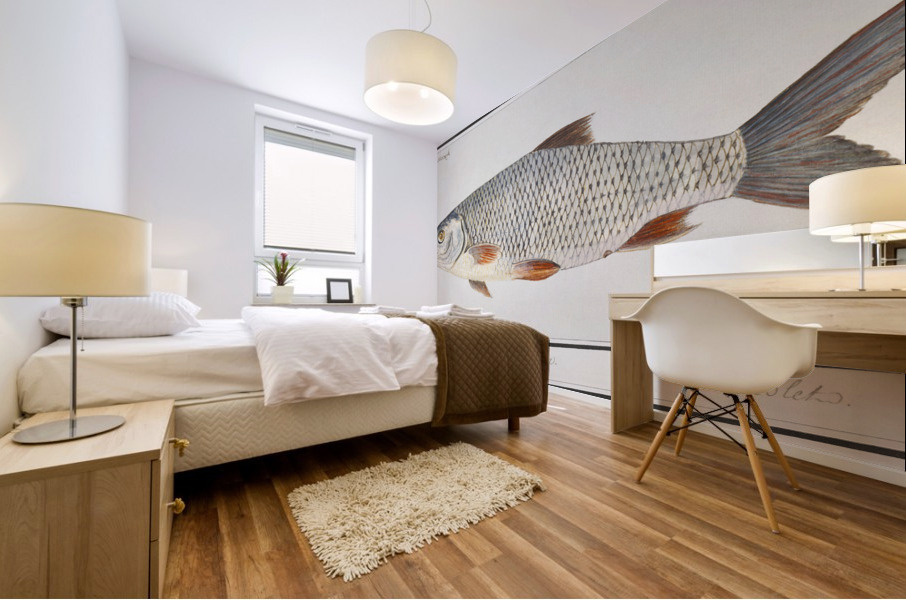 Silver bream in vintage style Mural print