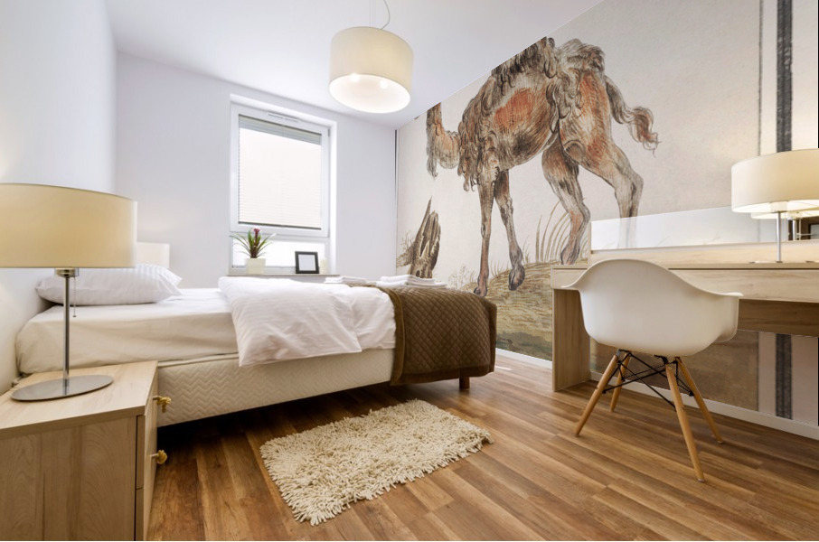Dromedary in vintage style Mural print