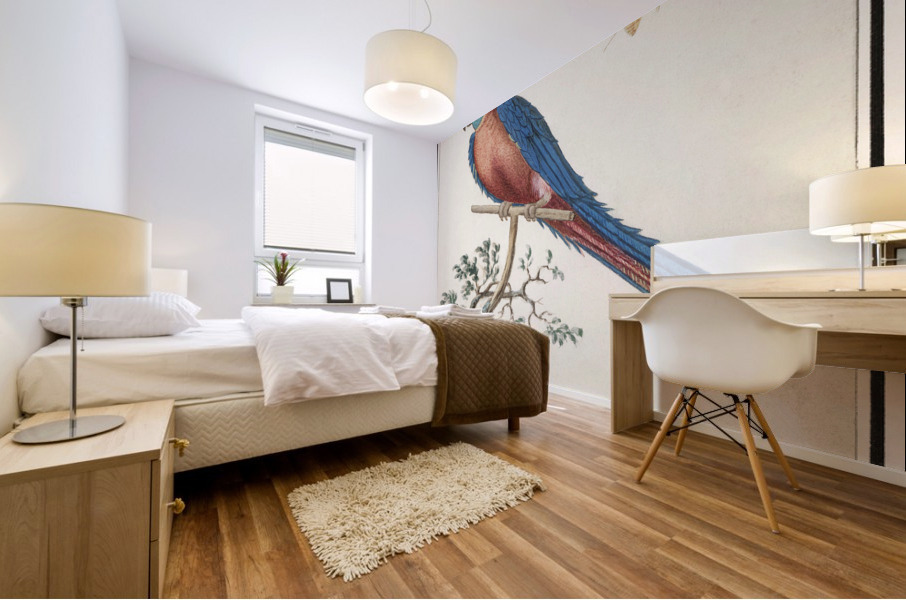 Blue and gold macaw in vintage style Mural print