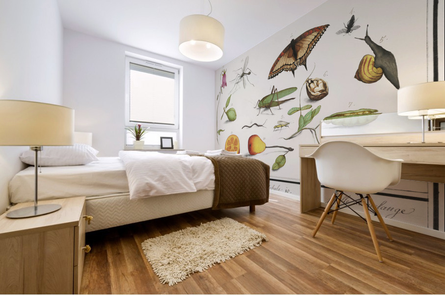 Grey parrot in vintage style Mural print