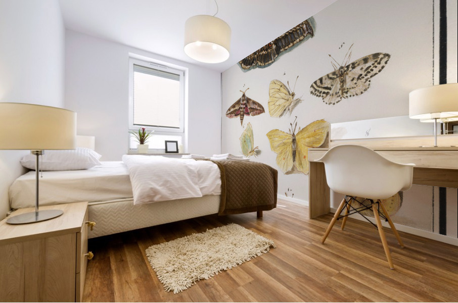 Butterflies and moths set Mural print