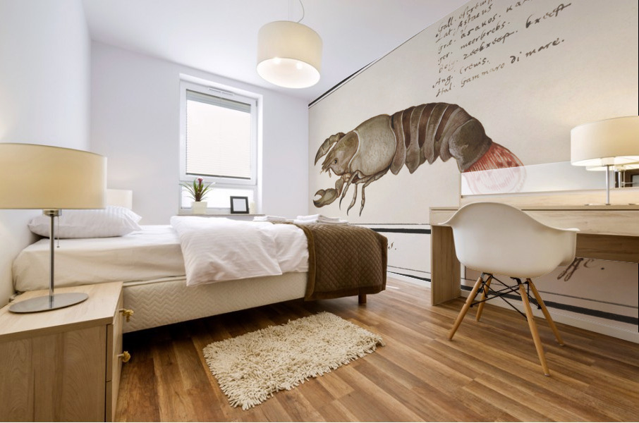 Lobster in vintage style Mural print