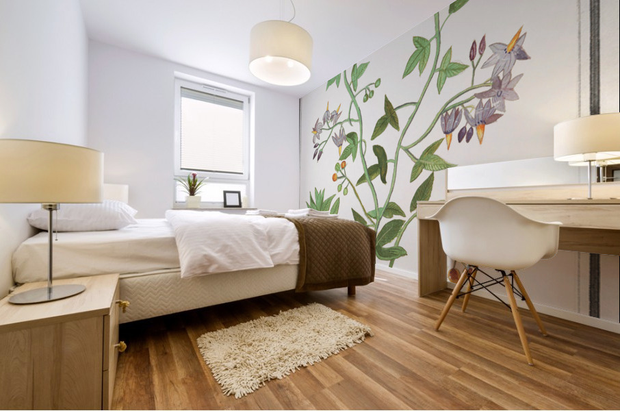 Bitter nightshade in vintage style Mural print