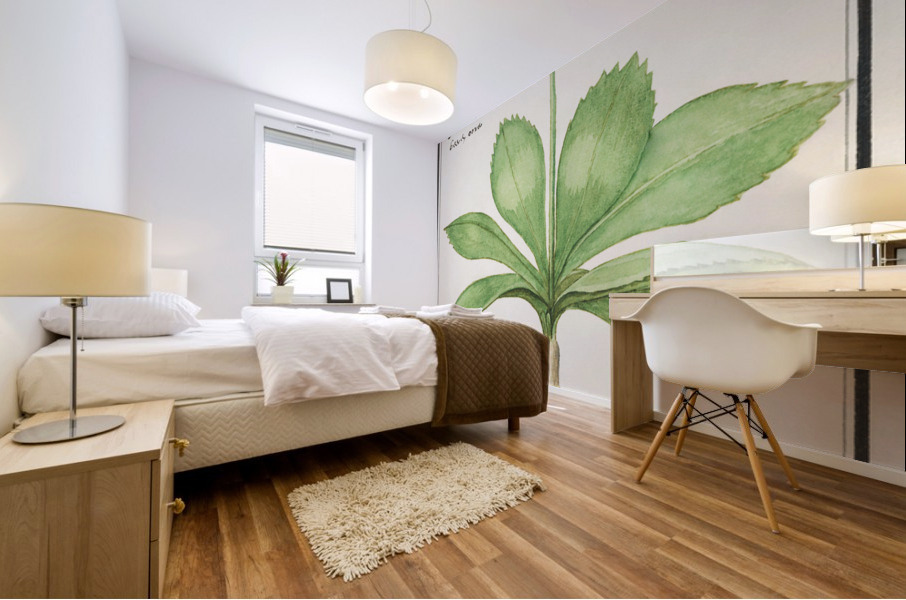 Primrose in vintage style Mural print