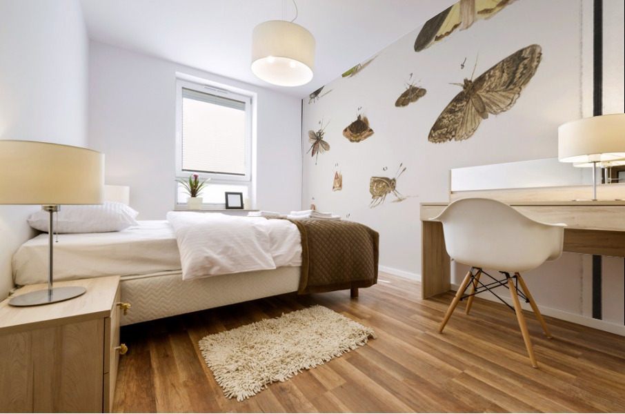 Butterflies and moths set Mural print