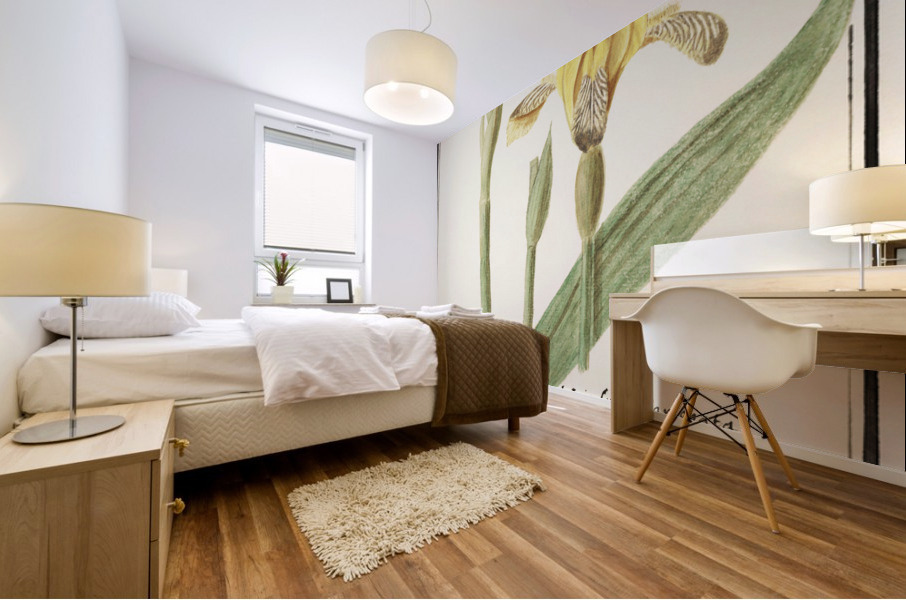 Yellow iris in vintage style Mural print