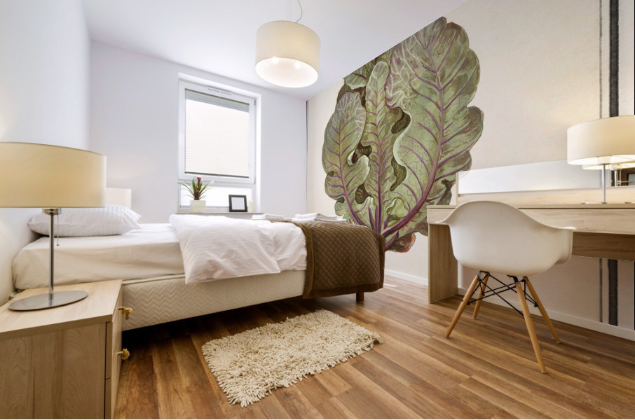 Cabbage in vintage style Mural print