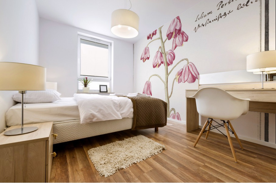 Cabbage in vintage style Mural print