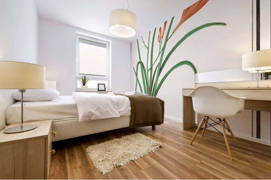 Orange daylily in vintage style Mural print